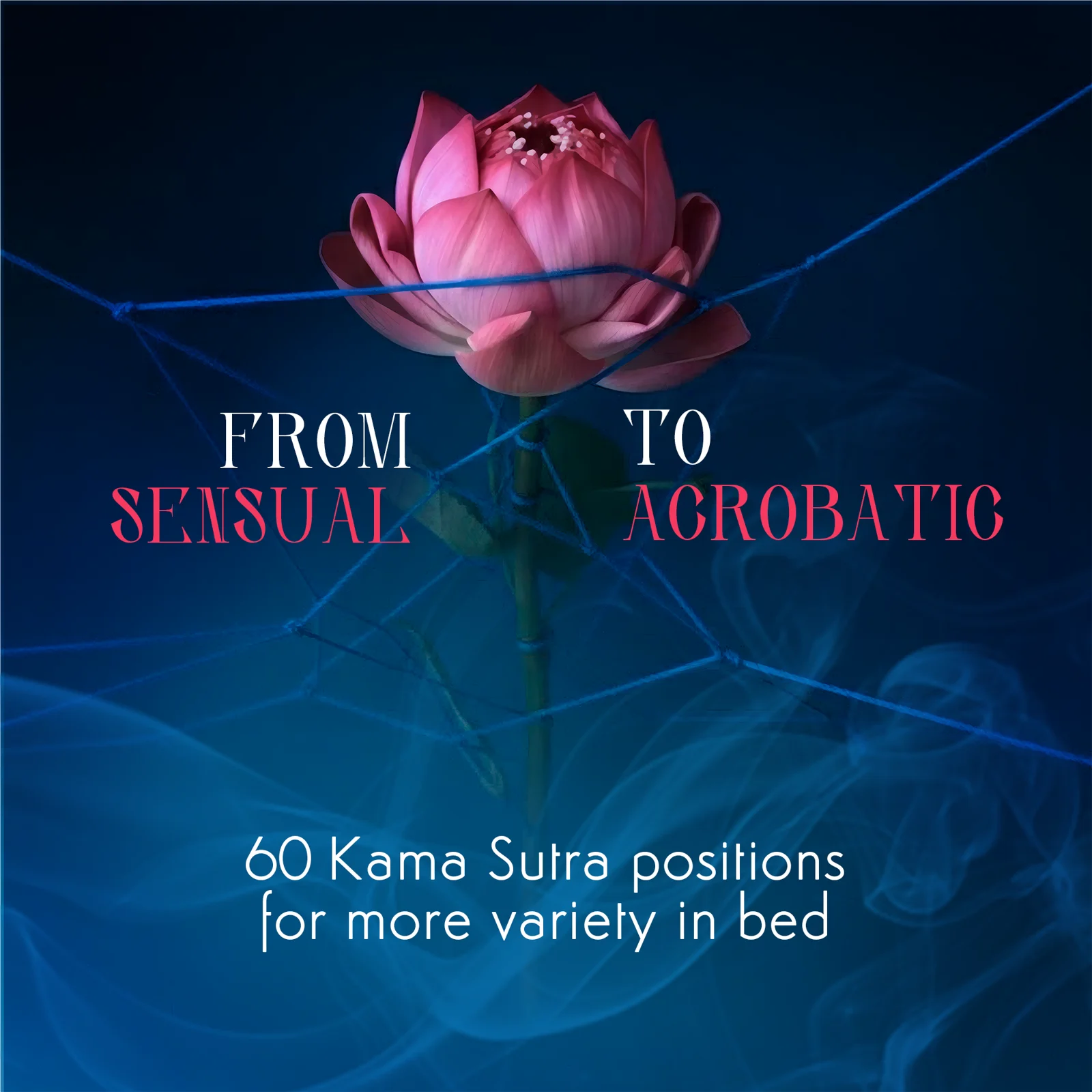 Kamasutra Cards – product image 6