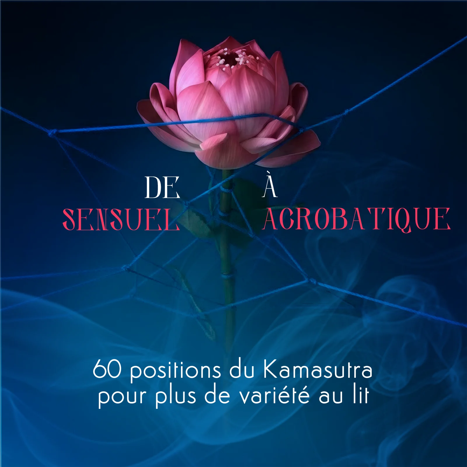 Cartes Kamasutra 6