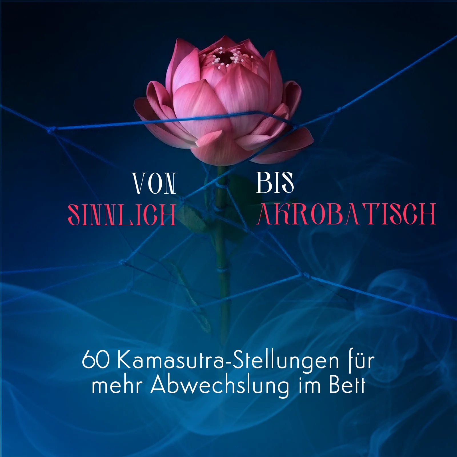 Kamasutra Karten – Produktbild 6